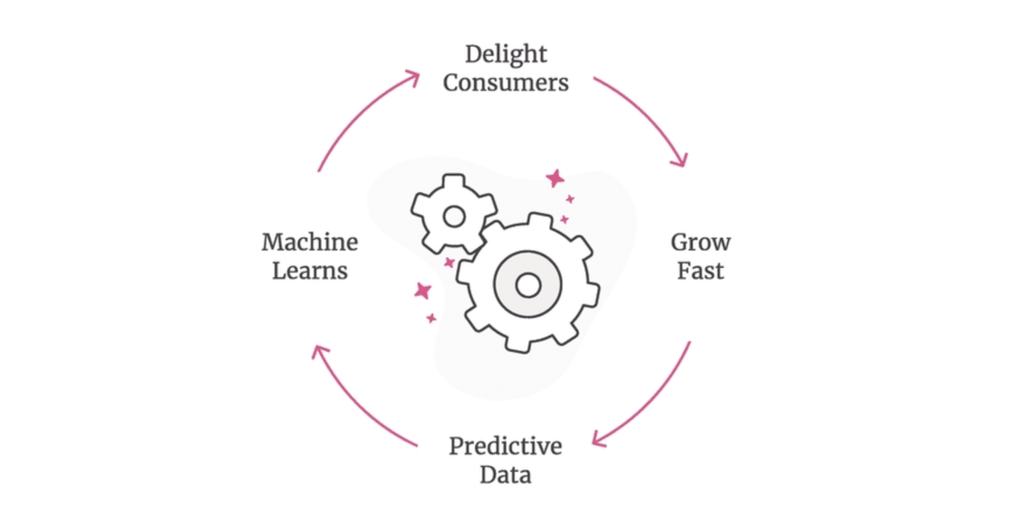 A Customer Experience Case Study: Lemonade